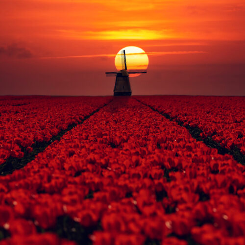 Niderlandy, Holandia